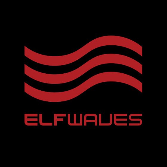 ELFWaves The NFT Artist