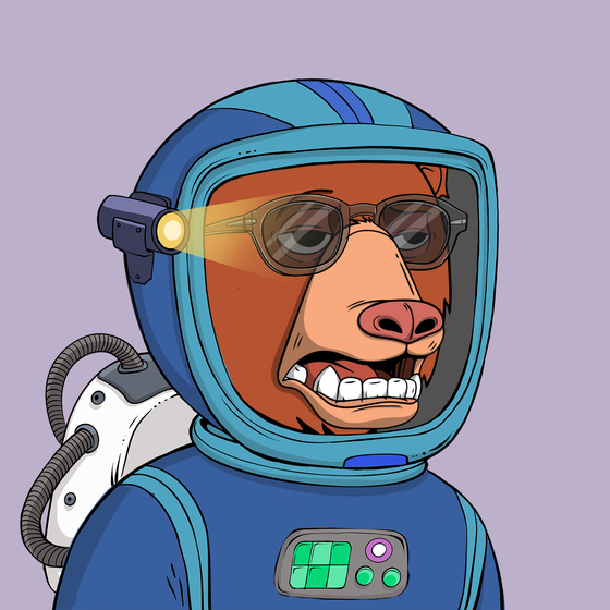 Okay Space Bear #633