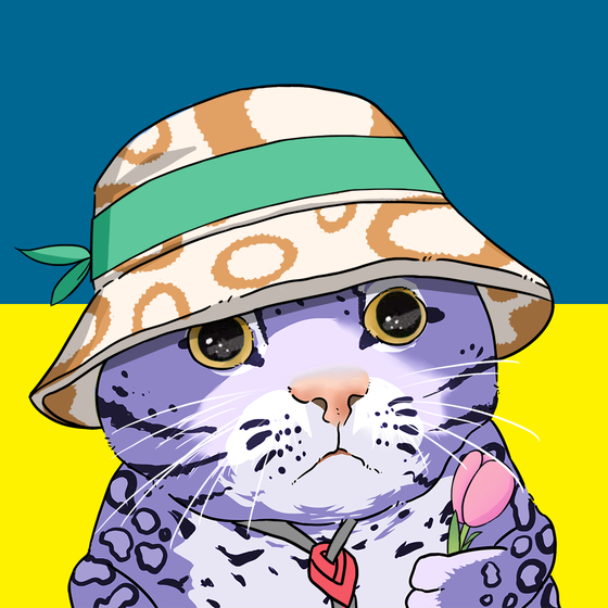 Puzzled cat #6839