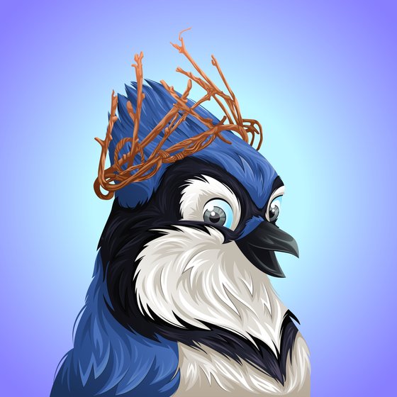 #4157 Bluejay