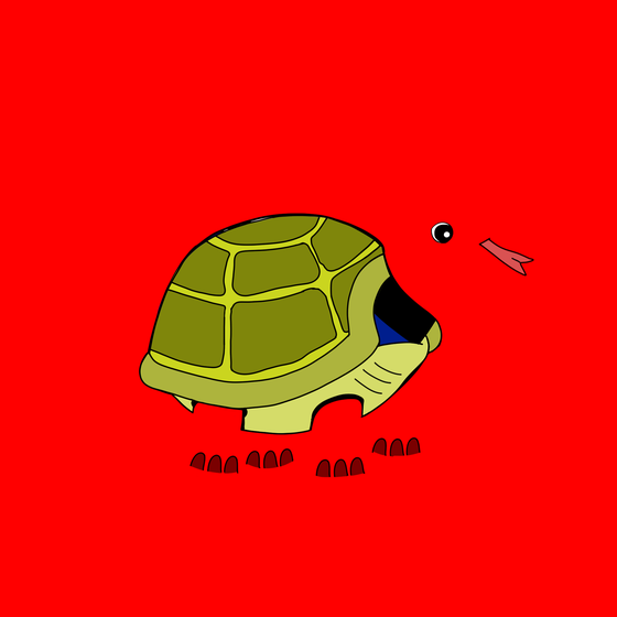 Turtle #5202