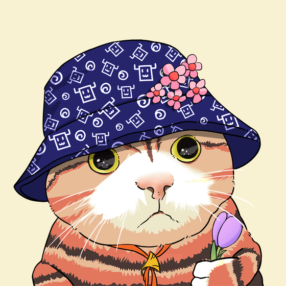 Puzzled cat #9569