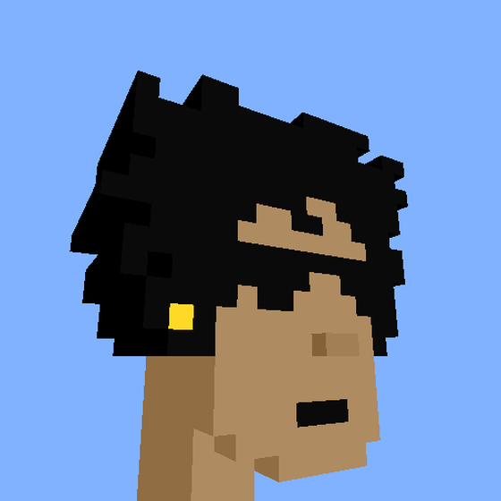 PunkVoxels #6969