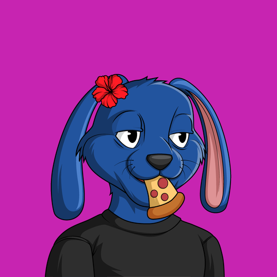 bunny #779