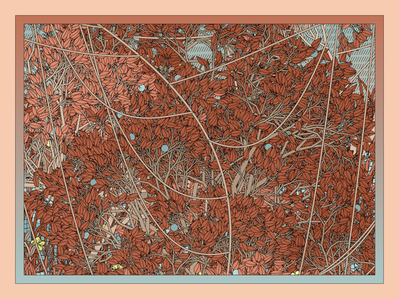 Entangled #440