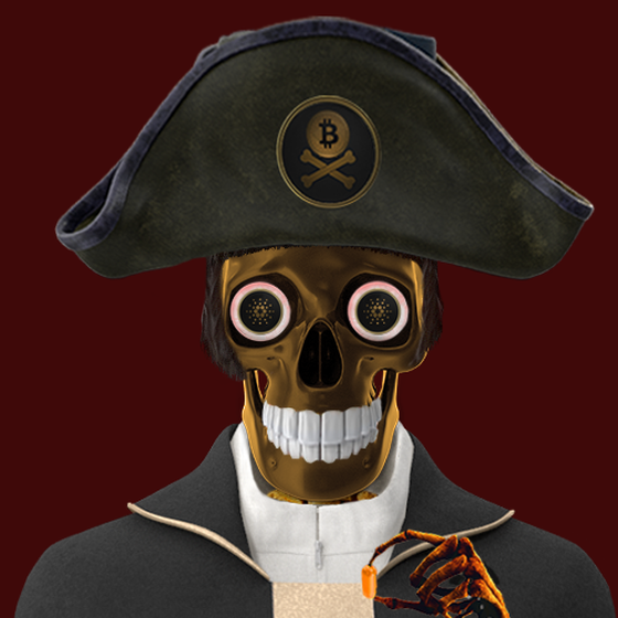 Blockchain Pirate #3488