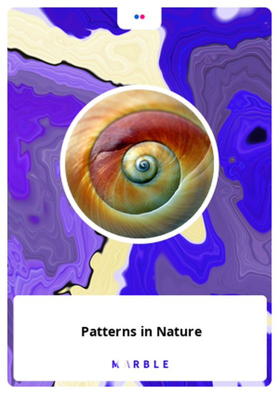 Patterns in Nature