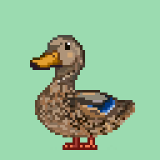 Mallard #820