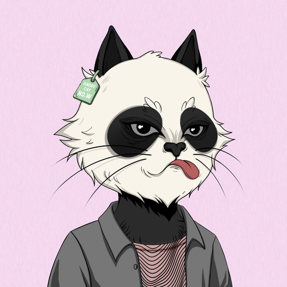 Angry Cat #4414