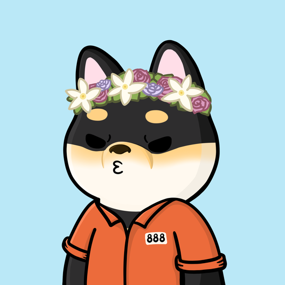 Shibe #1931