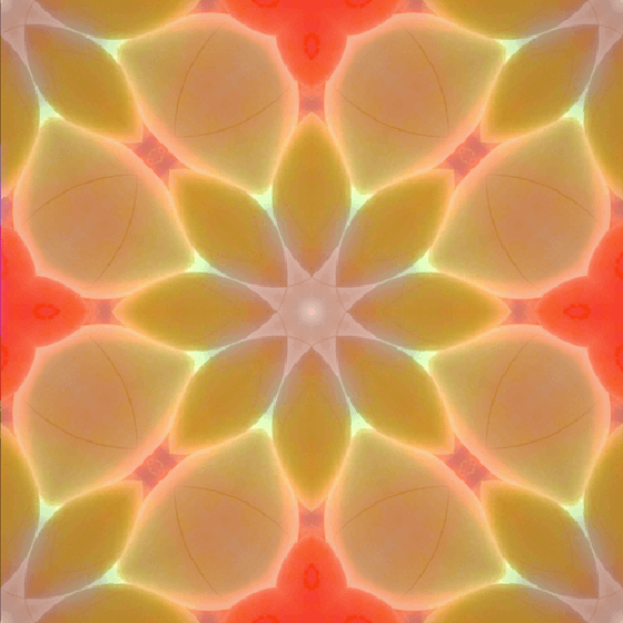 Nature Kaleidoscope #903 Venus Fort