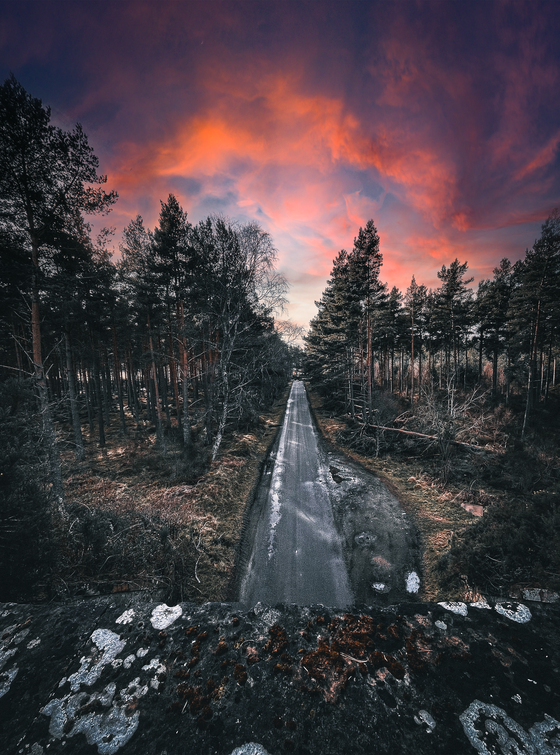 Alone On The Bridge