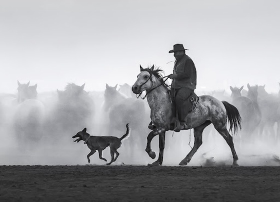 Sounds of Horseshoe 