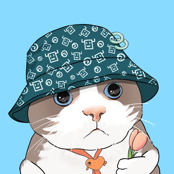 Puzzled cat #1250