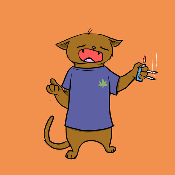 Blazed Cat #8076