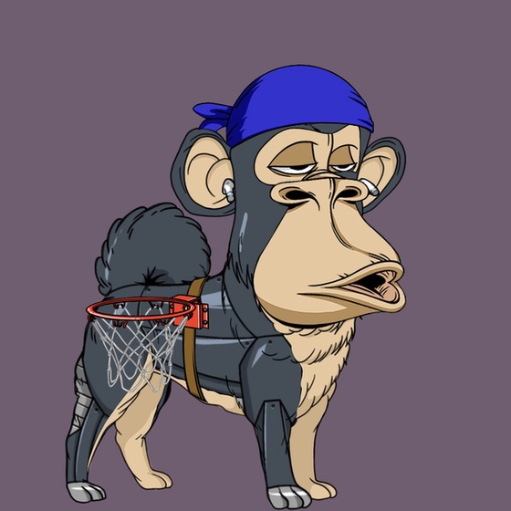 Kennel Ape #7242