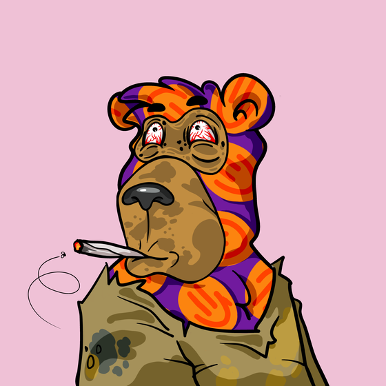 Buzzed Bear #4239