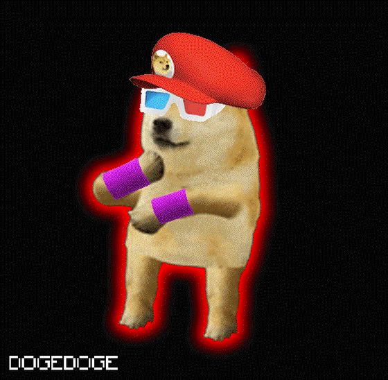 DOGEDOGE #178