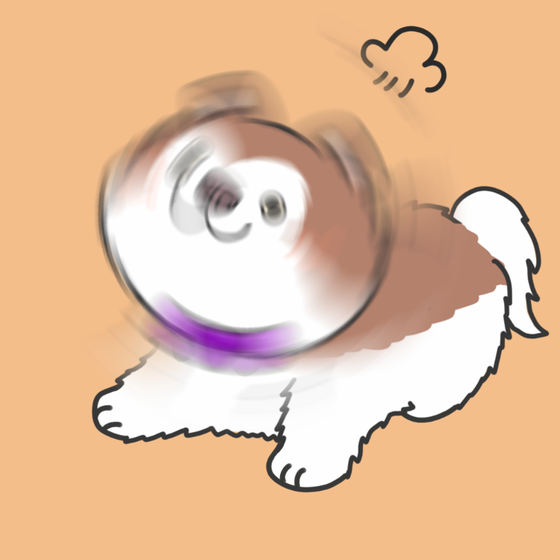DogDrill#946