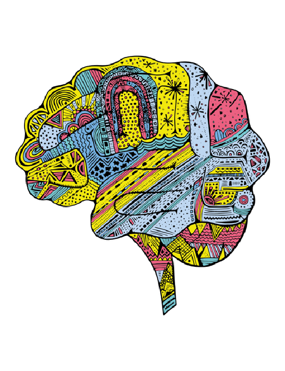 Brain #3