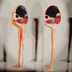 The biped egg's anatomy