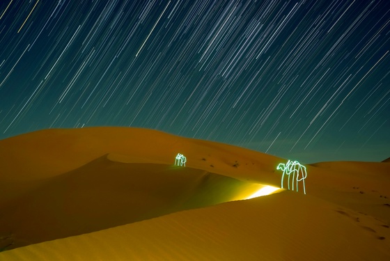 erg Chebbi Light Spiders.