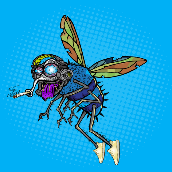 Funky Fly #300