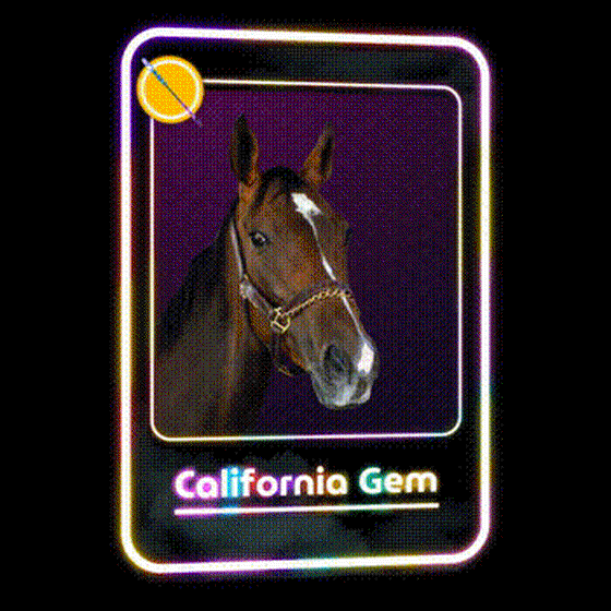 California Gem Jockey Club #47