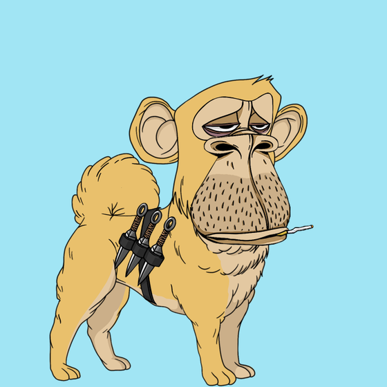 Kennel Ape #4797