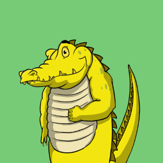 Croc #206