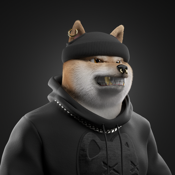 Shiba #1851