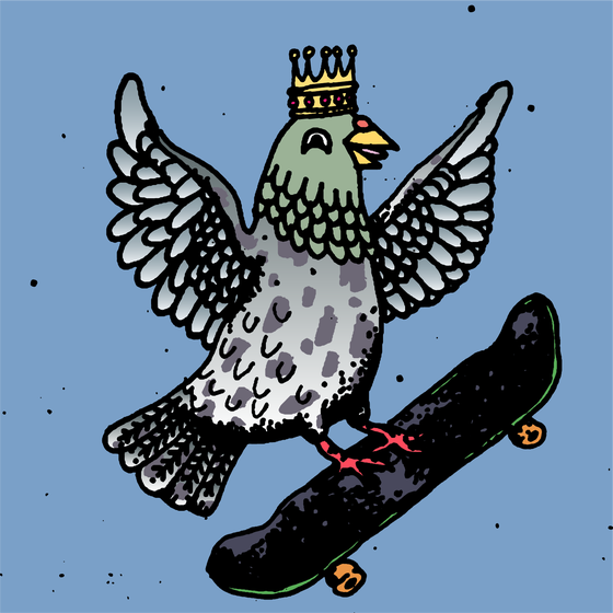 Hood Pigeon #816