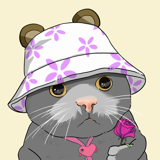Puzzled cat #6094