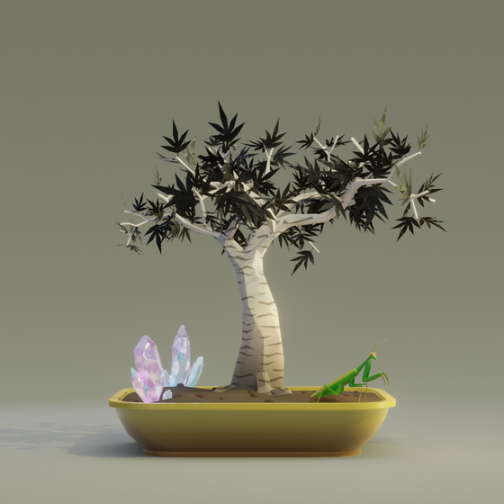 Bonsai #3551