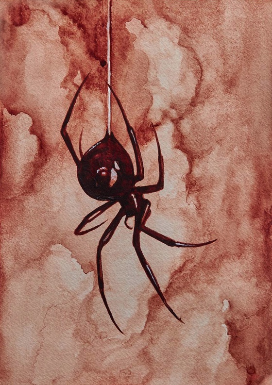 Bloody spider