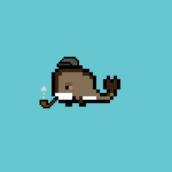 Weird Whales 445