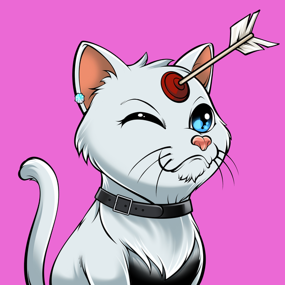 Cat #617