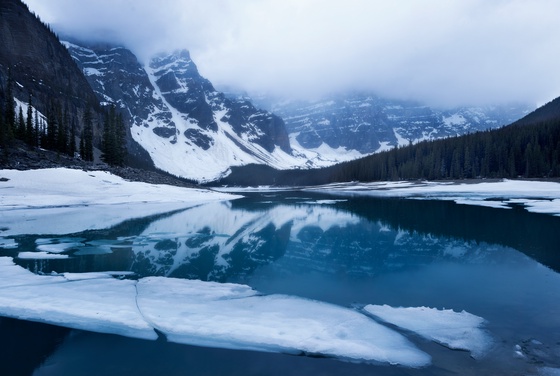 Trapped Under Ice by Suelen Tieko