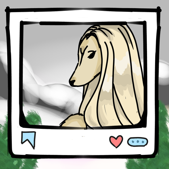 旅する犬 #742