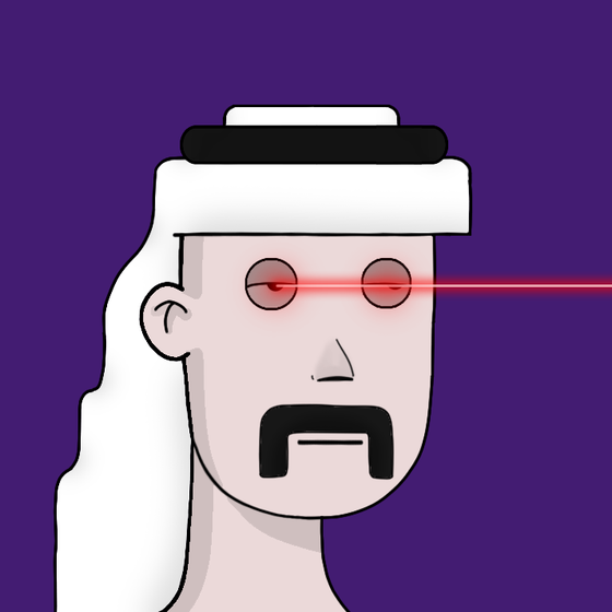 THE 2D SAUDIS #3881