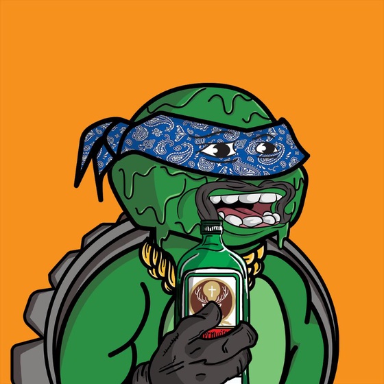 Degen Ninja Turtle #4406