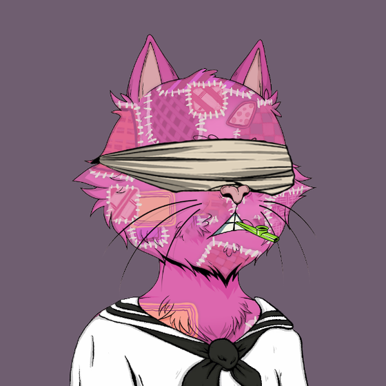 Angry Cat YC #2314