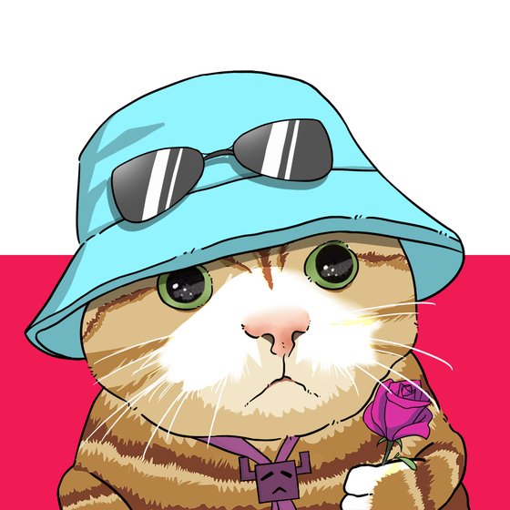 Puzzled cat #1662
