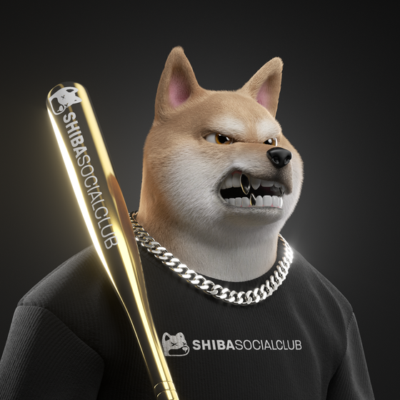 Shiba #800