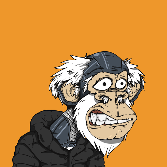 Grandpa Ape #4961