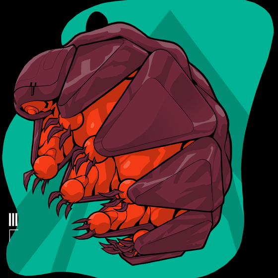 SAN Origin #5127