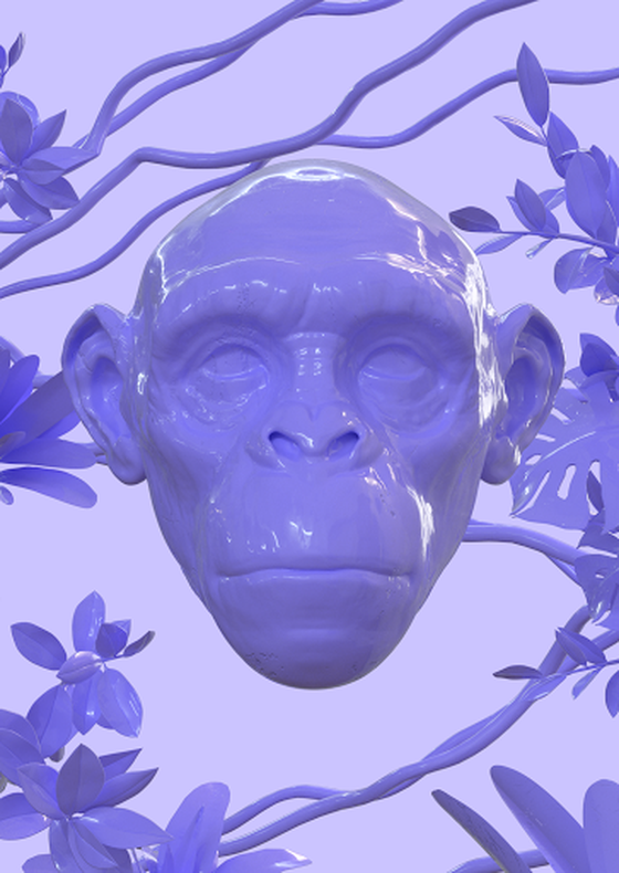 Ape #01