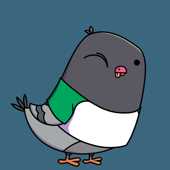 Pigeon #8997