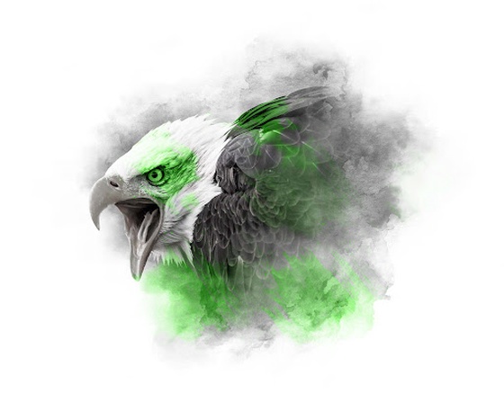 LIME SERIES - BALD EAGLE