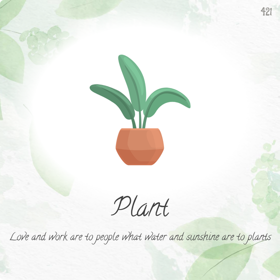 Plant - #421